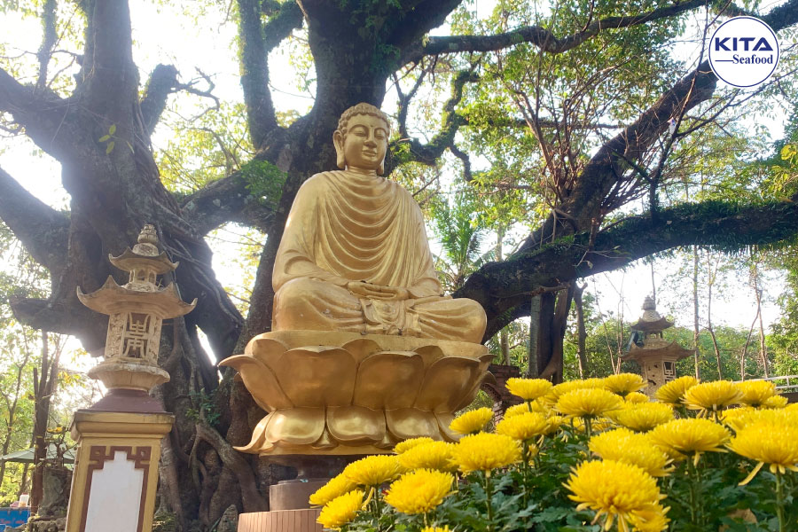 Nui thien an diem den ly tuong
