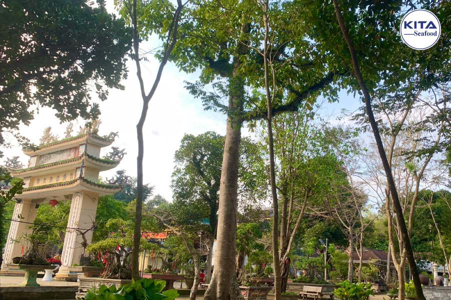 Nui thien an diem den ly tuong