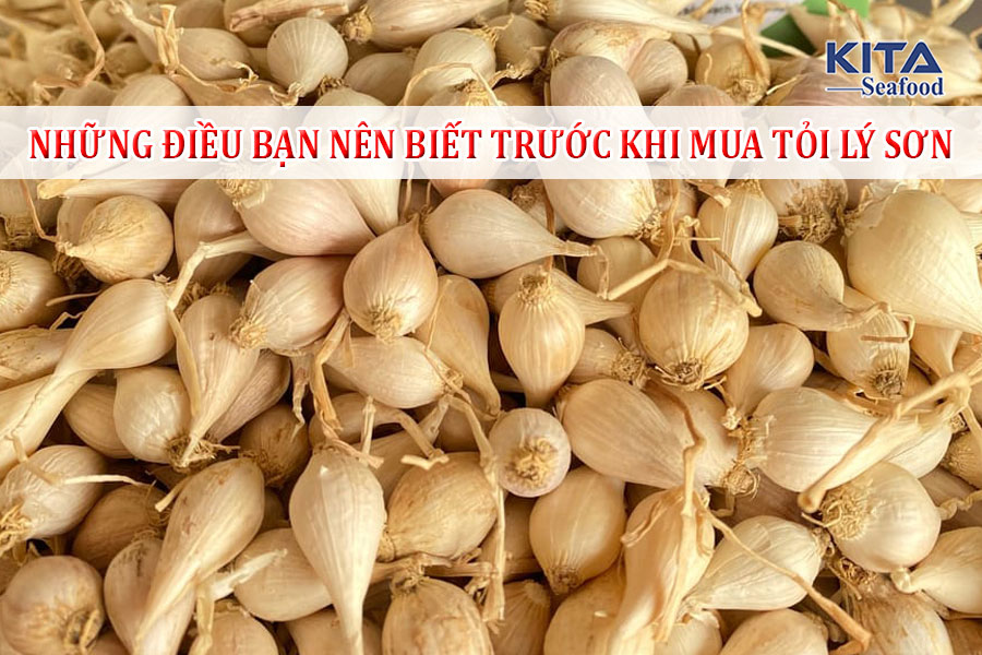 nhung dieu ban nen biet truoc khi mua toi ly son