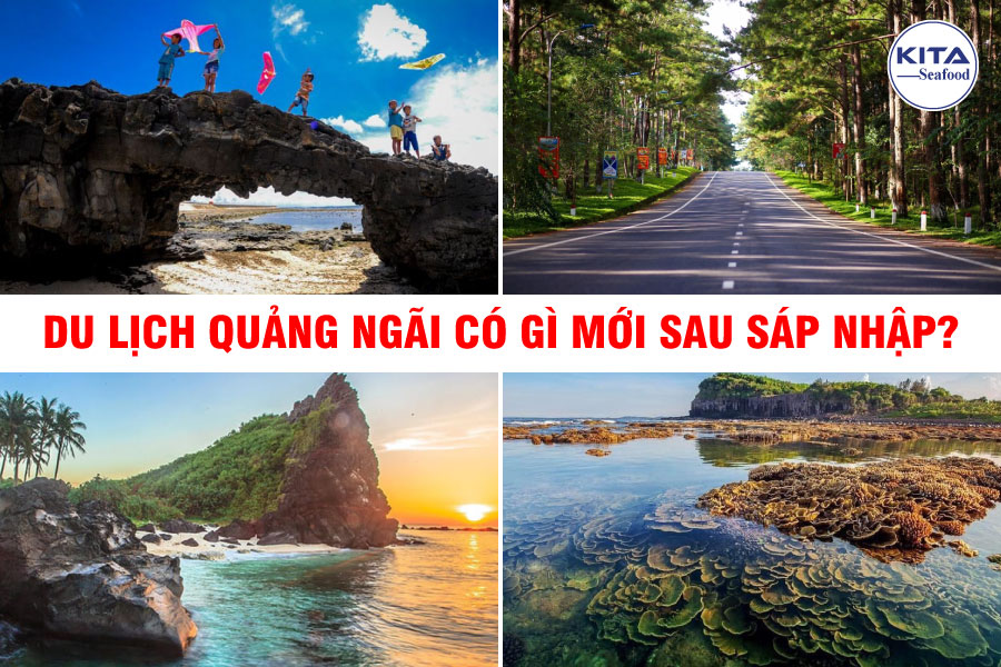 Du Lịch Quảng Ngãi Có Gì Mới Sau Sáp Nhập?